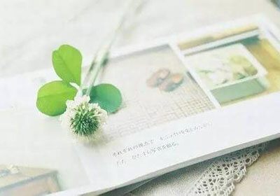 平安养老险山西分公司荣获山西消费者满意保险公司奖项